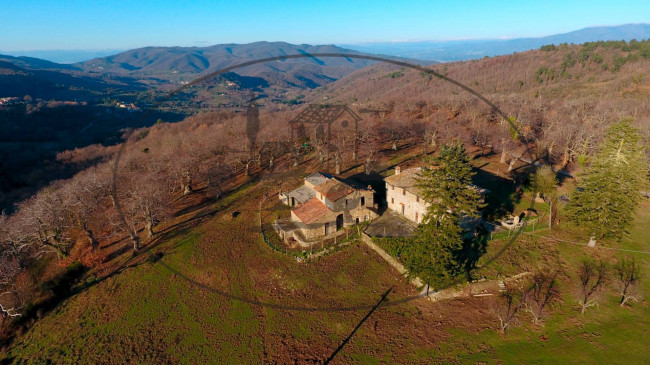 Cascina/Casale/Masseria in vendita a Greve in Chianti