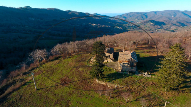 Cascina/Casale/Masseria in vendita a Greve in Chianti