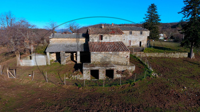 Cascina/Casale/Masseria in vendita a Greve in Chianti