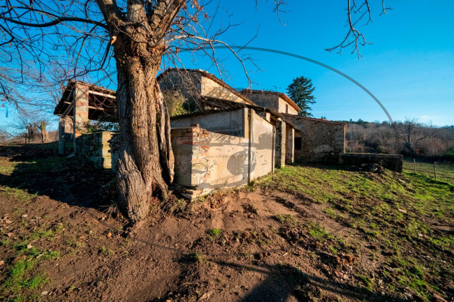 Cascina/Casale/Masseria in vendita a Greve in Chianti