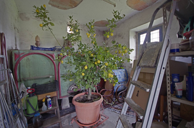 Rustico in vendita a Cavriglia