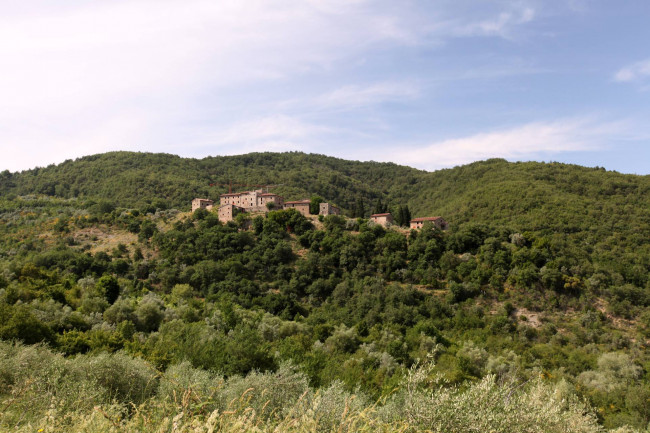 Castello in vendita a Greve in Chianti