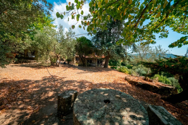 Casa colonica in vendita a Loro Ciuffenna