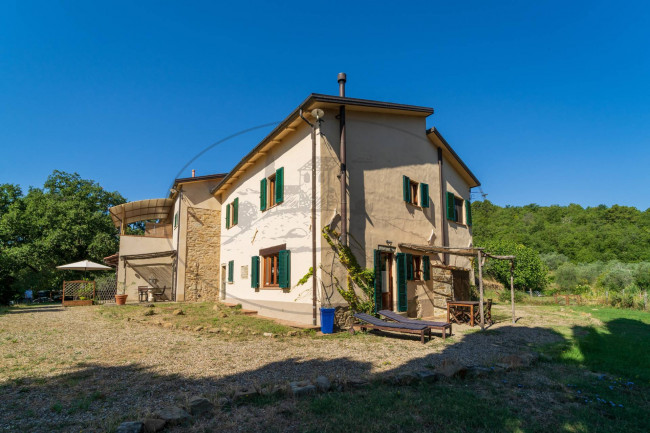 Casa colonica in vendita a Capolona