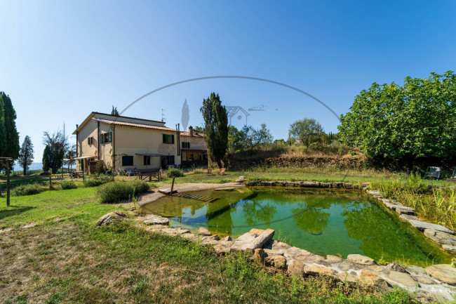 Casa colonica in vendita a Capolona