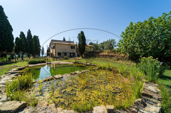 Casa colonica in vendita a Capolona