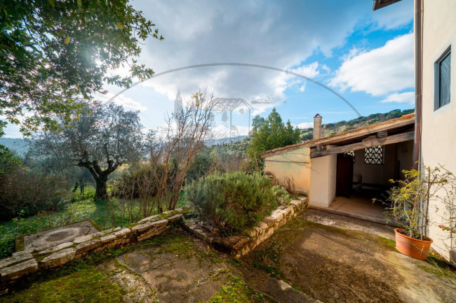  for sale in Rignano sull'Arno