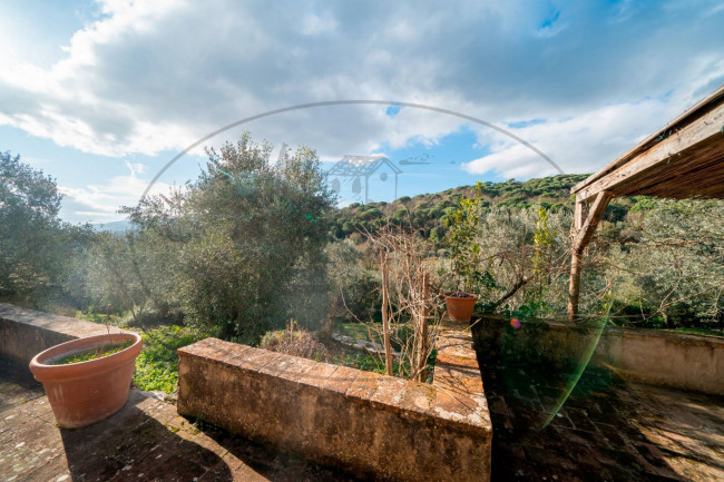  for sale in Rignano sull'Arno