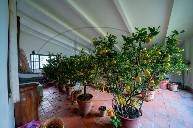  for sale in Rignano sull'Arno