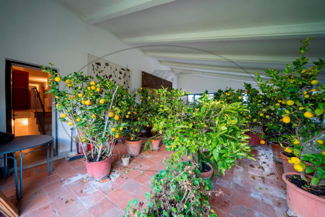  for sale in Rignano sull'Arno