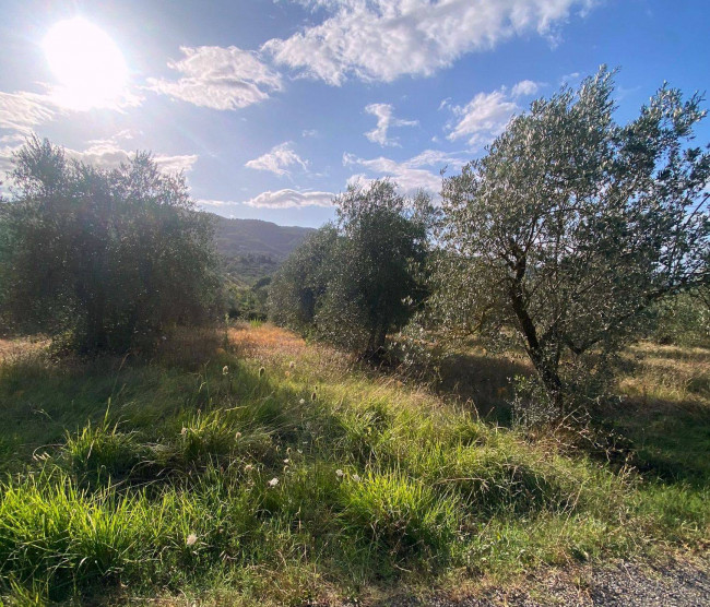 Terreno Agricolo in vendita a Reggello