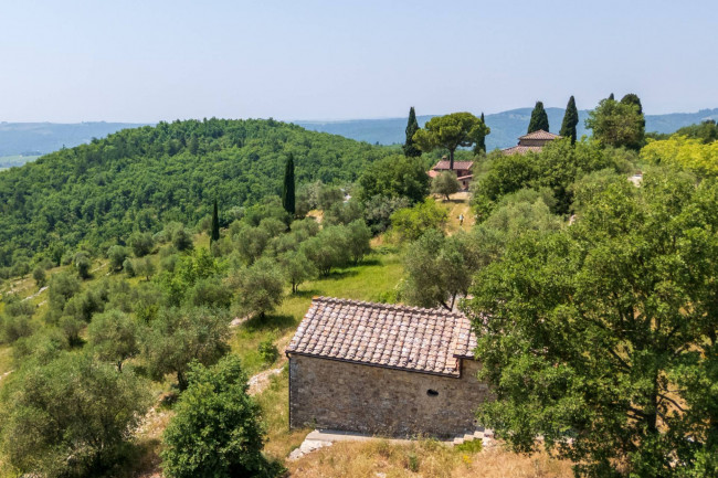 Casa colonica in vendita a Gaiole in Chianti