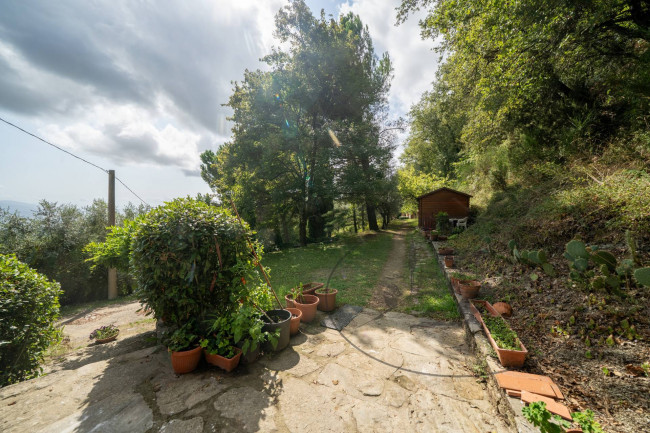  for sale in Figline e Incisa Valdarno
