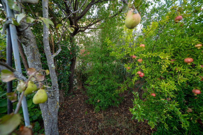  for sale in Loro Ciuffenna