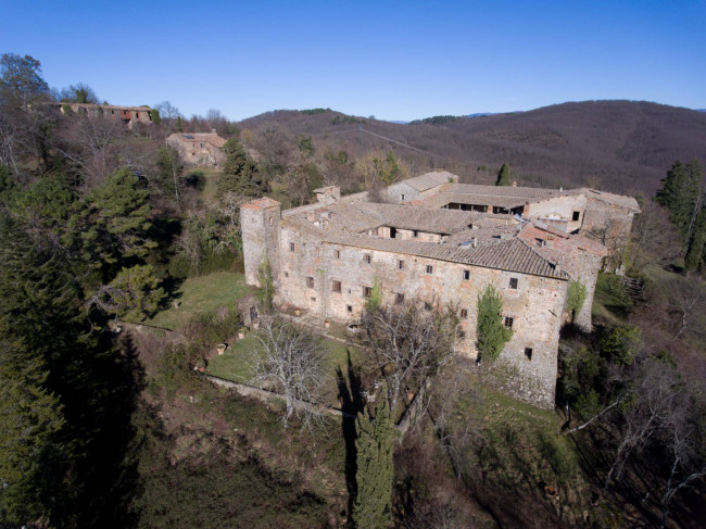 Castello in vendita a Greve in Chianti