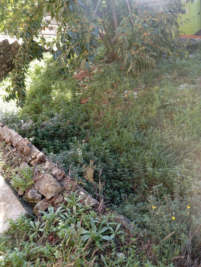 for sale in Cavriglia