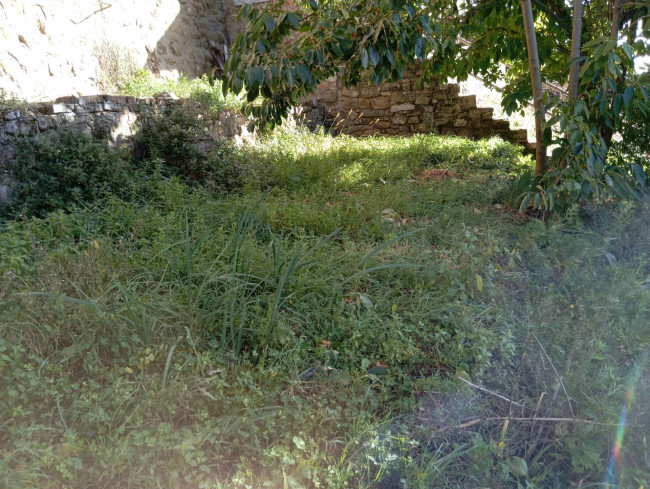 for sale in Cavriglia