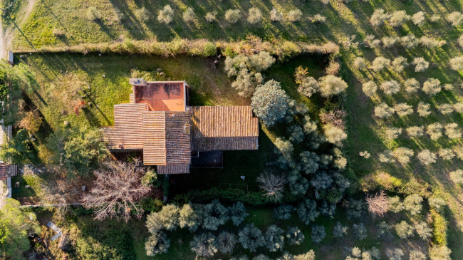  for sale in Greve in Chianti