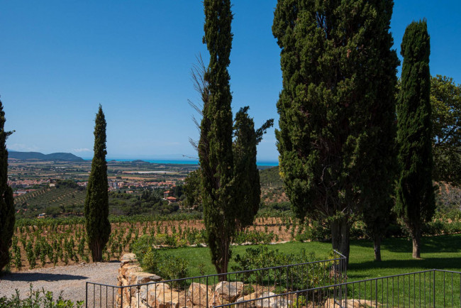 Castello in vendita a Campiglia Marittima