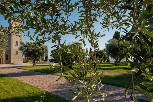 Castello in vendita a Campiglia Marittima