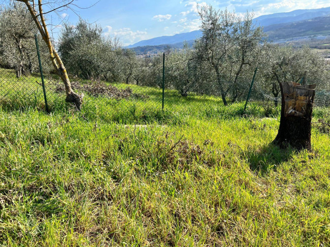 Terreno edificabile in vendita a Reggello