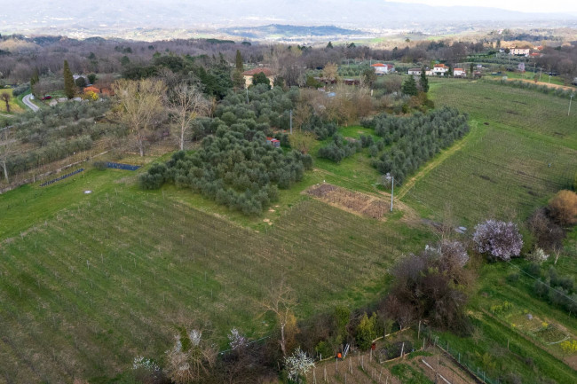 Villa in vendita a Cavriglia