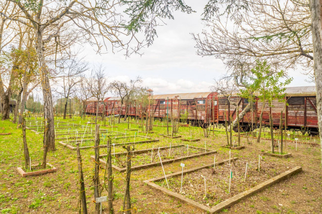 Villa in vendita a Cavriglia