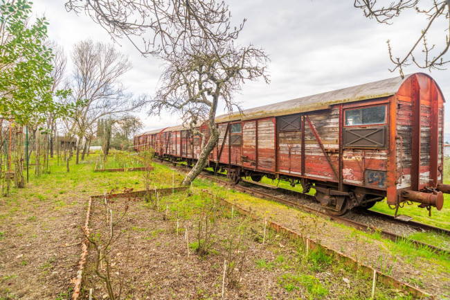 Villa in vendita a Cavriglia