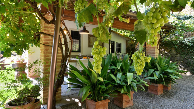 Casa singola in vendita a Montevarchi