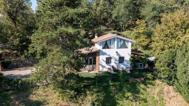 Casa singola in vendita a Montevarchi