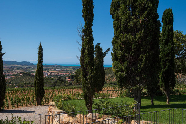 Castello in vendita a Campiglia Marittima