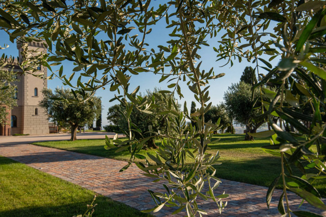 Castello in vendita a Campiglia Marittima