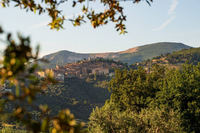 Castello in vendita a Campiglia Marittima