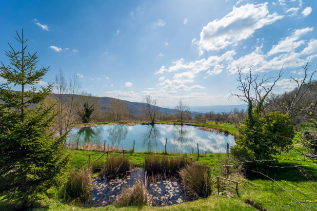 Cascina/Casale/Masseria in vendita a Castelfranco Piandiscò