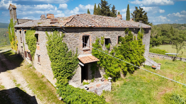 Cascina/Casale/Masseria in vendita a Greve in Chianti