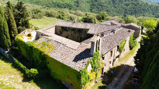 Cascina/Casale/Masseria in vendita a Greve in Chianti