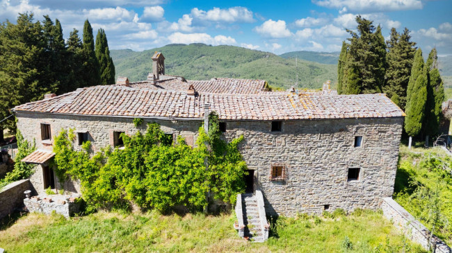 Cascina/Casale/Masseria in vendita a Greve in Chianti