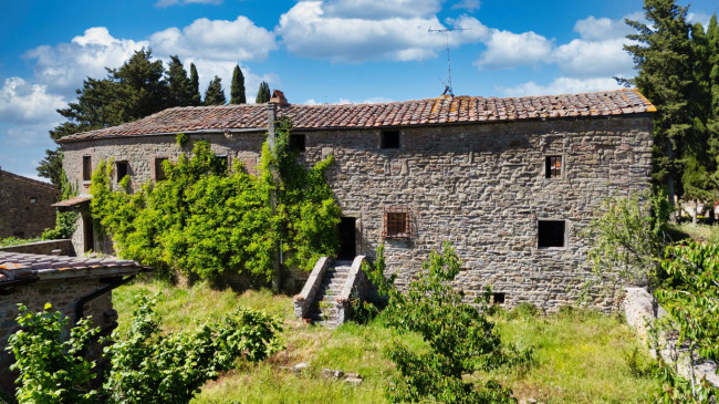 Cascina/Casale/Masseria in vendita a Greve in Chianti