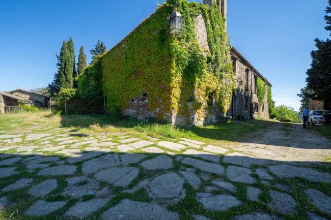 Cascina/Casale/Masseria in vendita a Greve in Chianti
