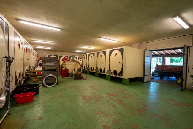 Cascina/Casale/Masseria in vendita a Terranuova Bracciolini