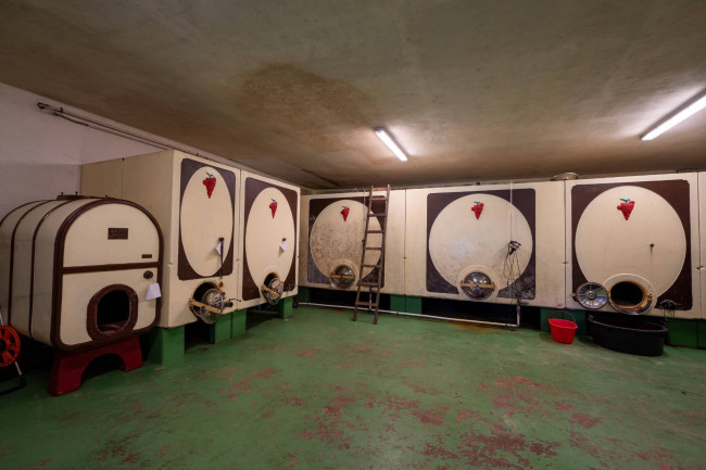 Cascina/Casale/Masseria in vendita a Terranuova Bracciolini