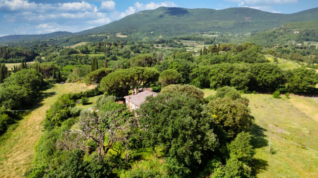 Cascina/Casale/Masseria in vendita a Cetona