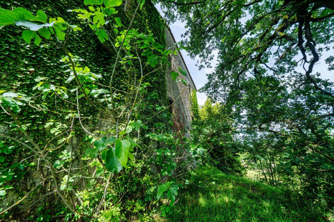 Cascina/Casale/Masseria in vendita a Cetona