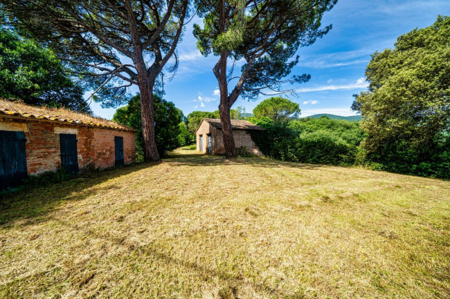 Cascina/Casale/Masseria in vendita a Cetona