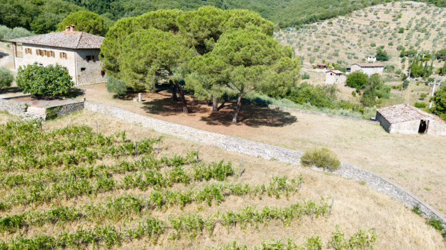Casa colonica in vendita a Cavriglia