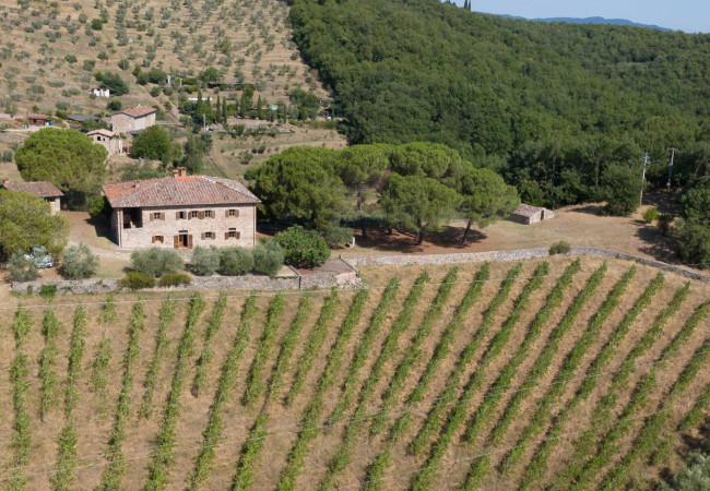 Casa colonica in vendita a Cavriglia