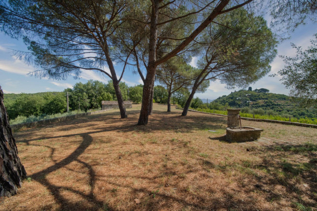 Casa colonica in vendita a Cavriglia
