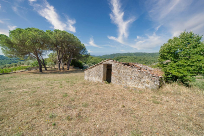 Casa colonica in vendita a Cavriglia