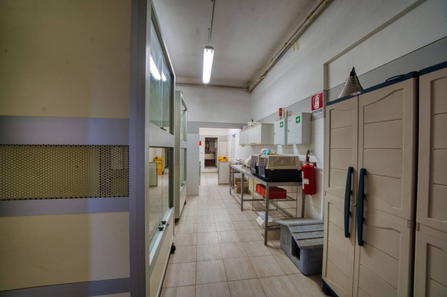 Villa in vendita a Figline e Incisa Valdarno