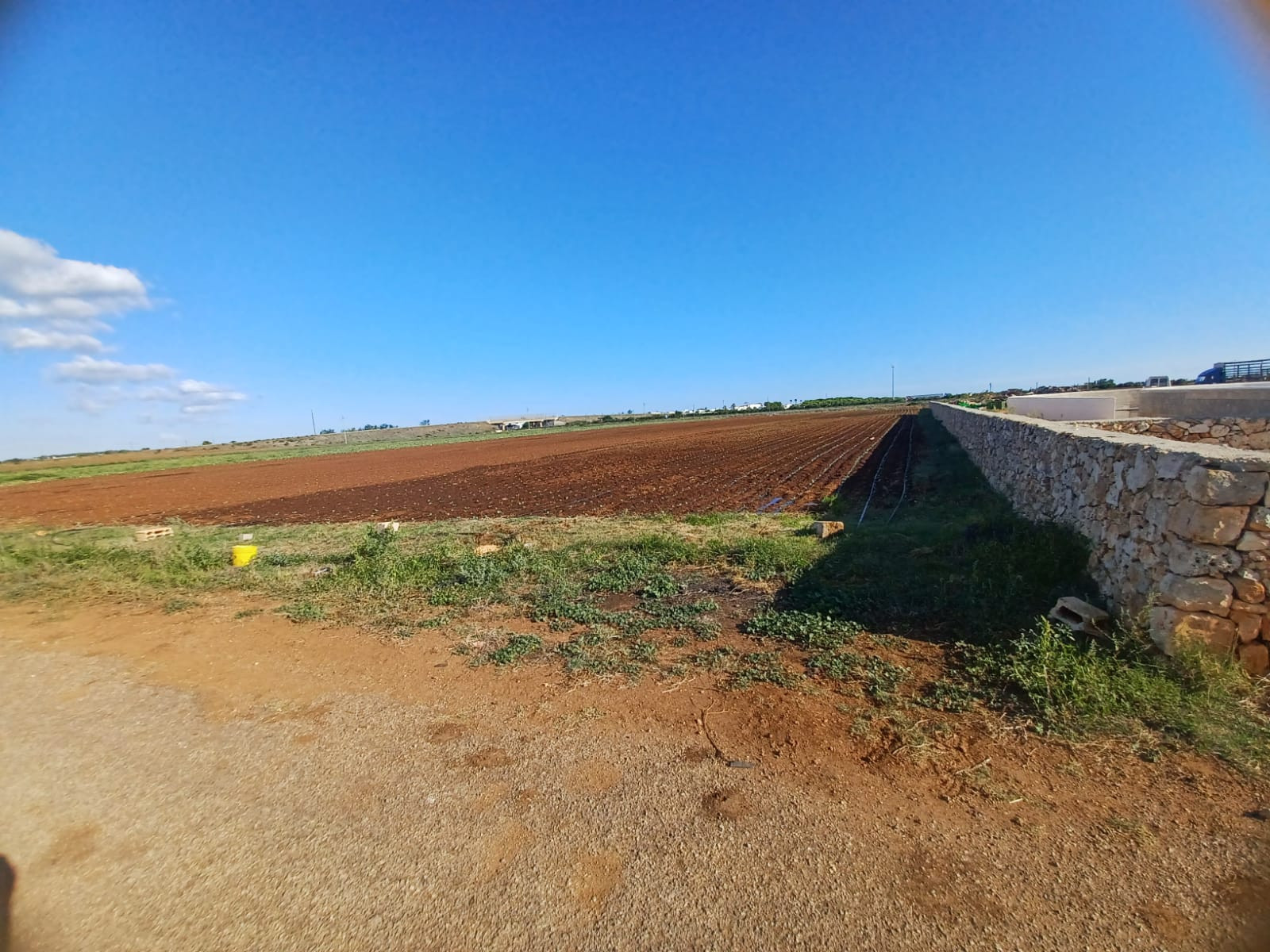 Terreno agricolo in vendita a Santa Sabina, Carovigno (BR)
